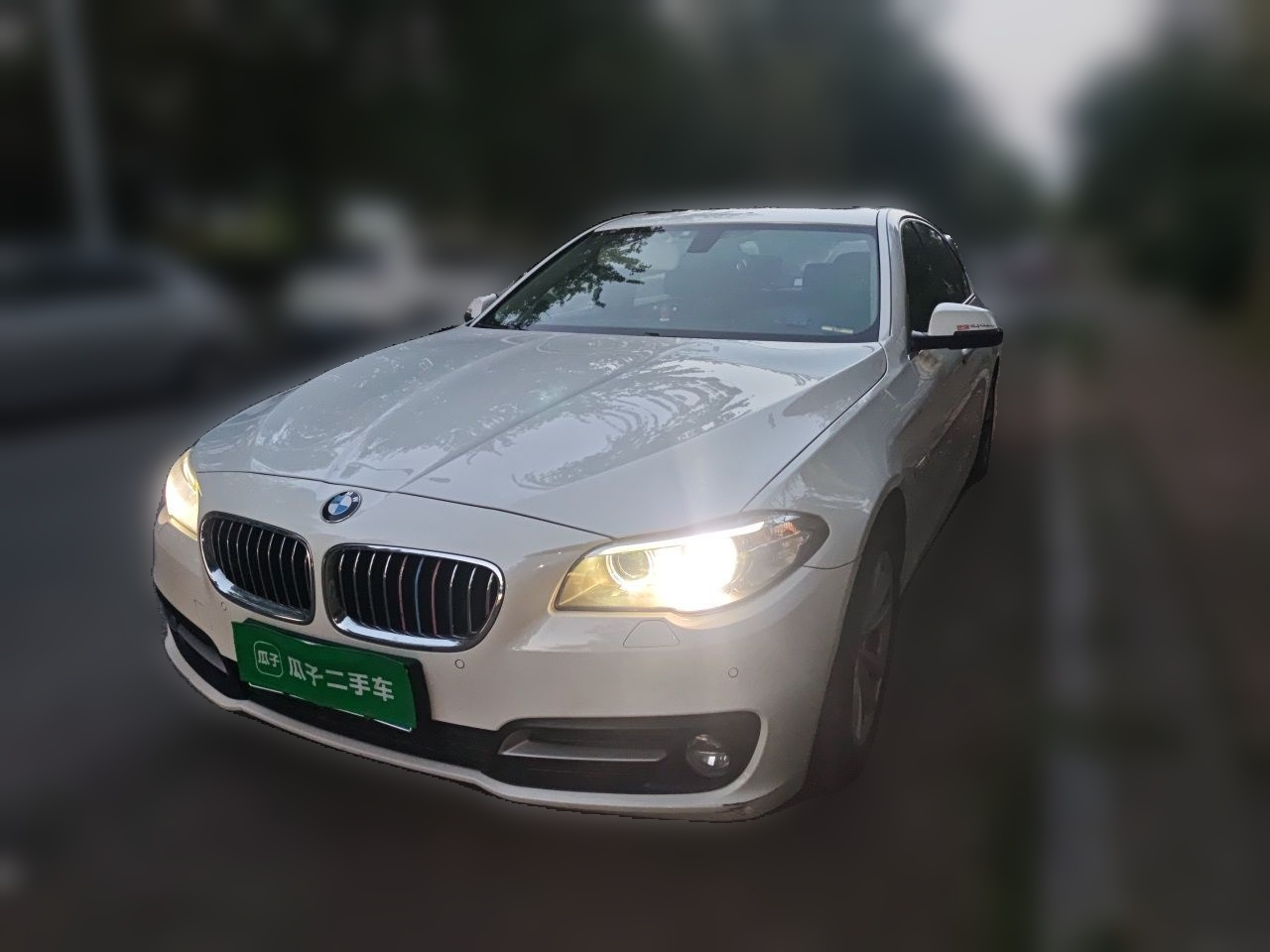 5 Series 2014 520Li