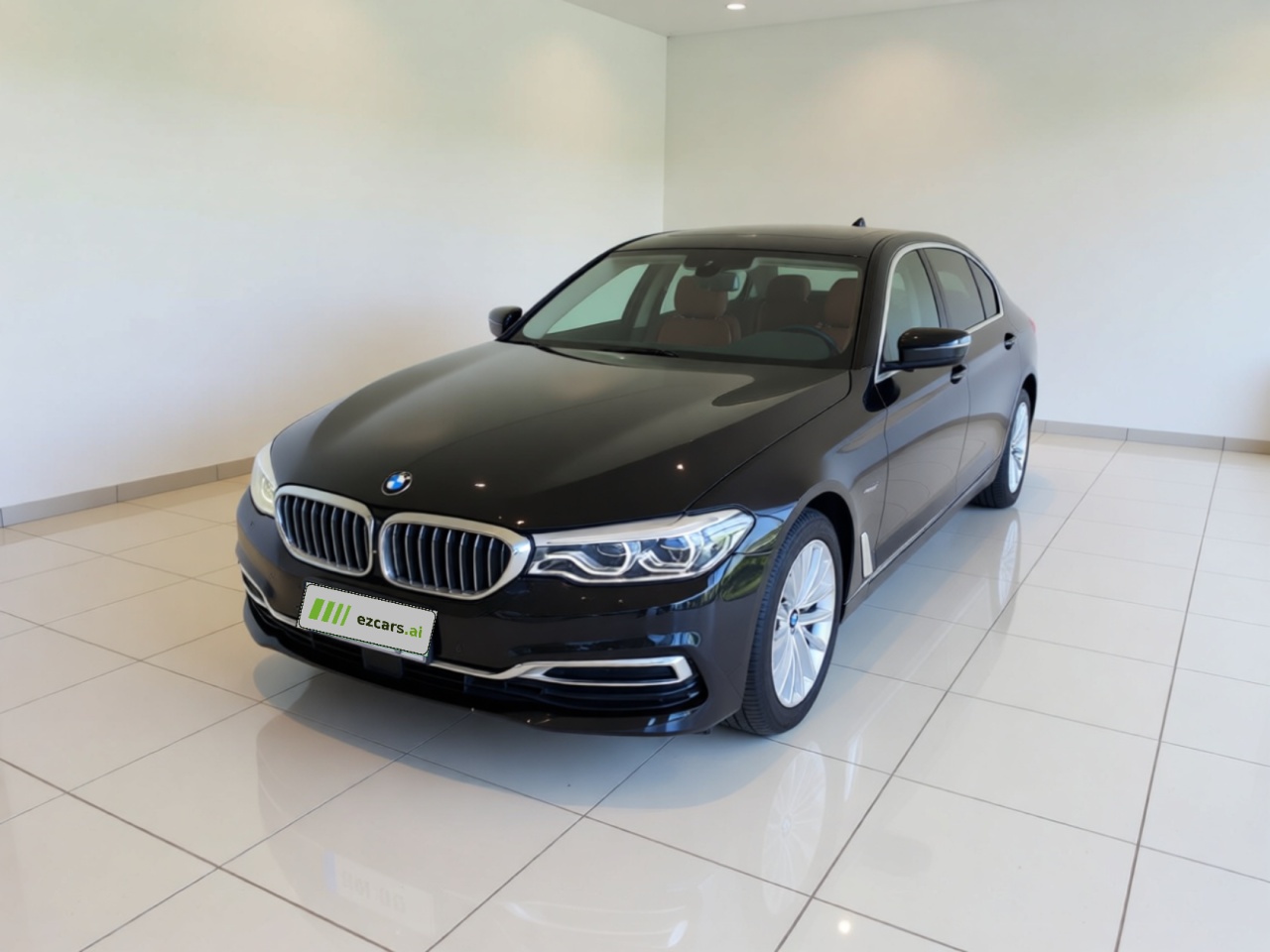 5 Series 2020 530Li Leading Luxury
