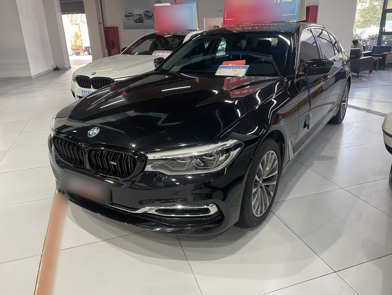 5 Series 2019 525Li Luxury