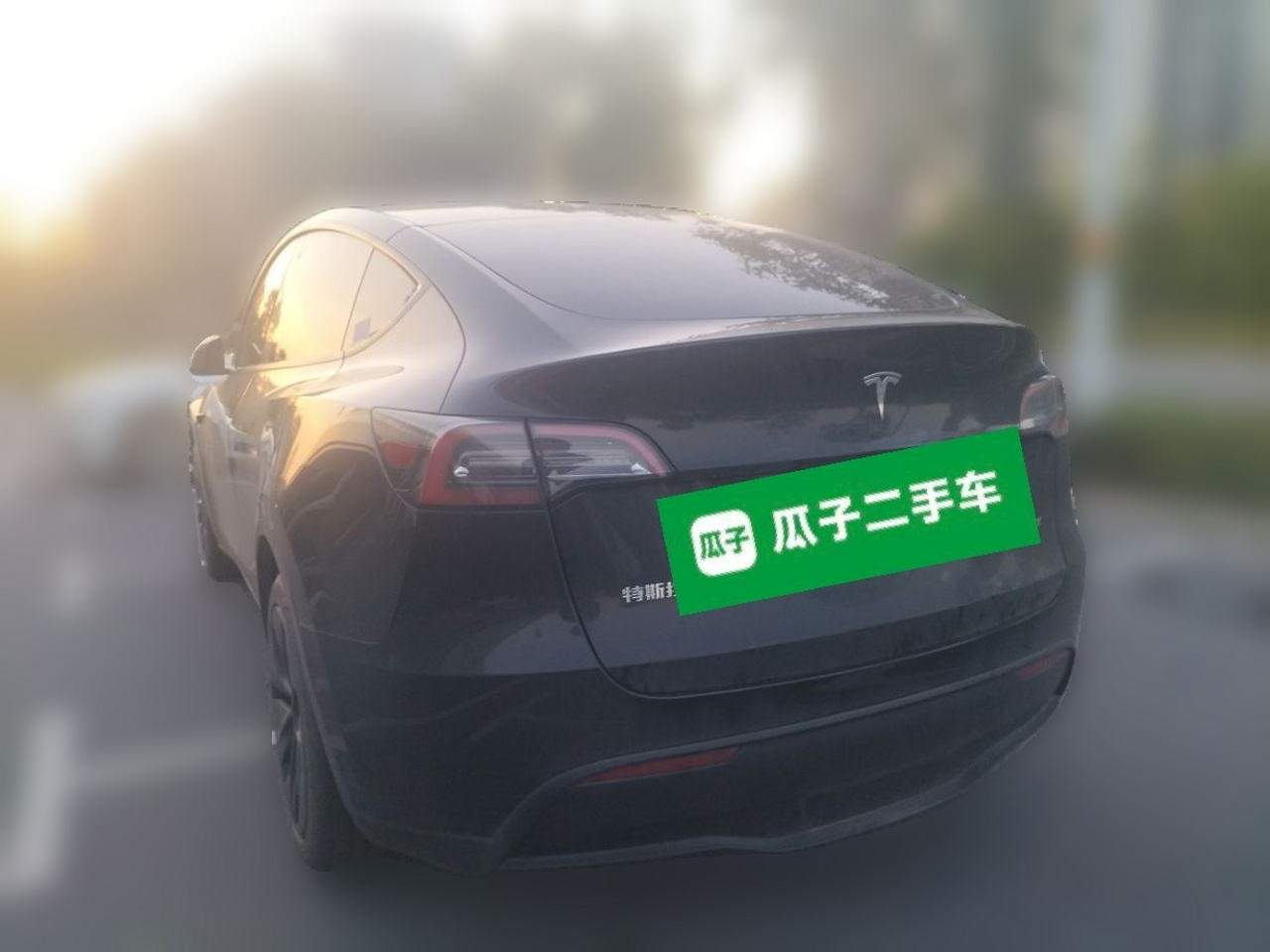 Model Y 2024 RWD photo 4