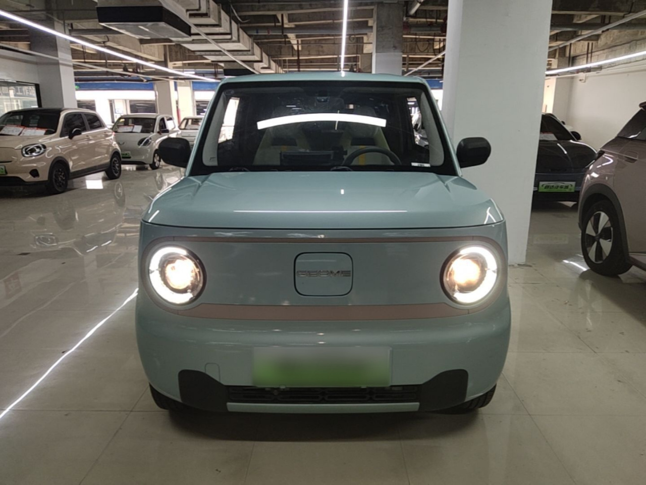 2024 Panda mini 200km Endurance Bear photo 2
