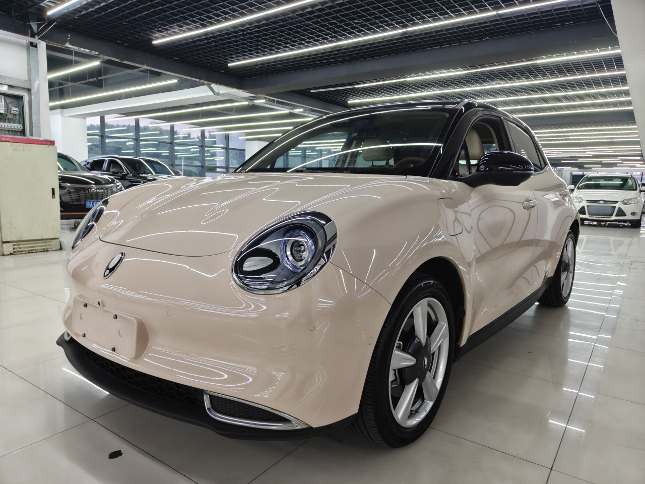 Good Cat 2023 401km Standard Range Luxury LFP