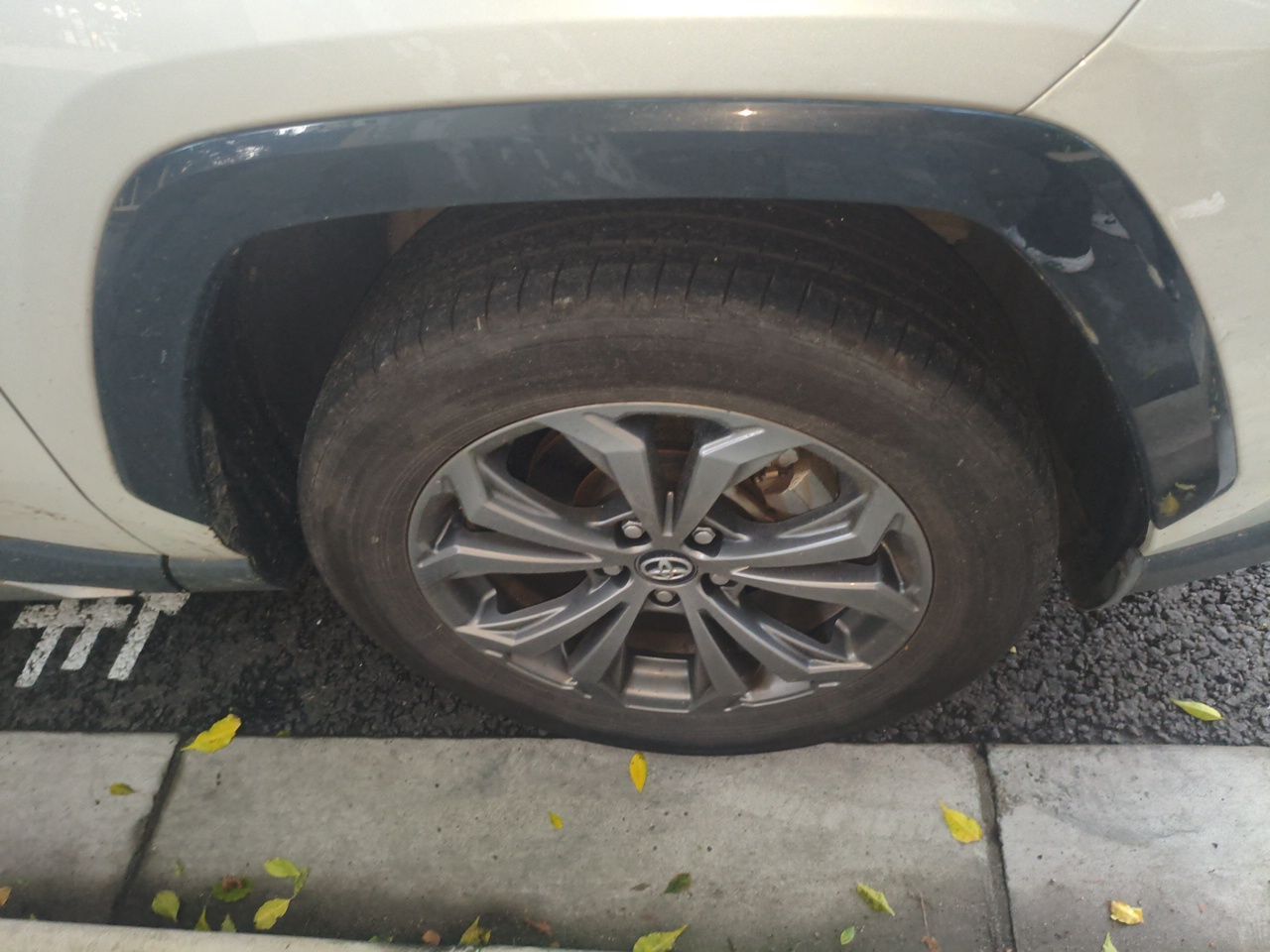 RAV4 2024 2.0L CVT RWD Plus photo 5