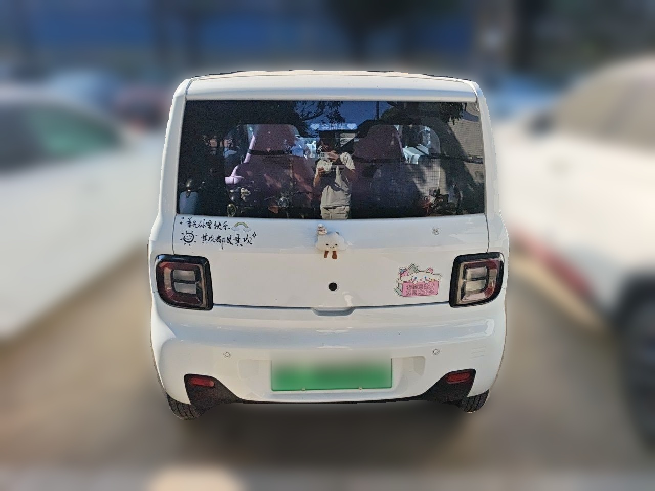 2023 Panda mini 200km Endurance Bear photo 3