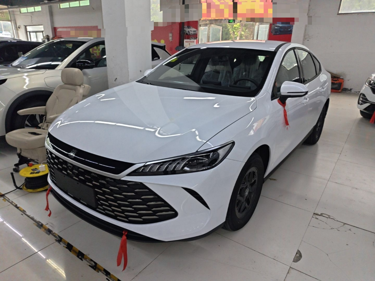 Qin PLUS 2026 DM-i 128KM Progressive