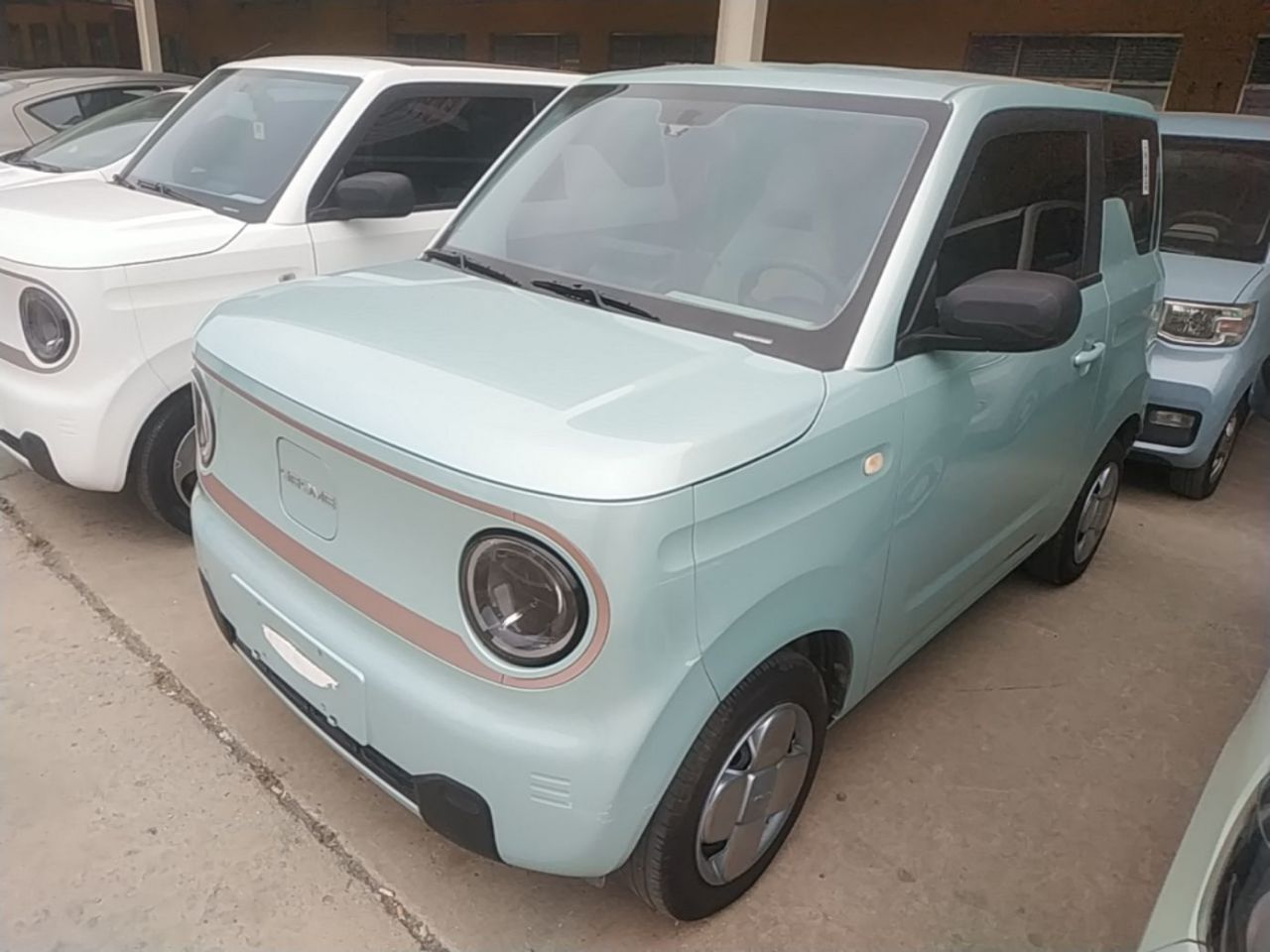 2024 Panda mini 200km Endurance Bear