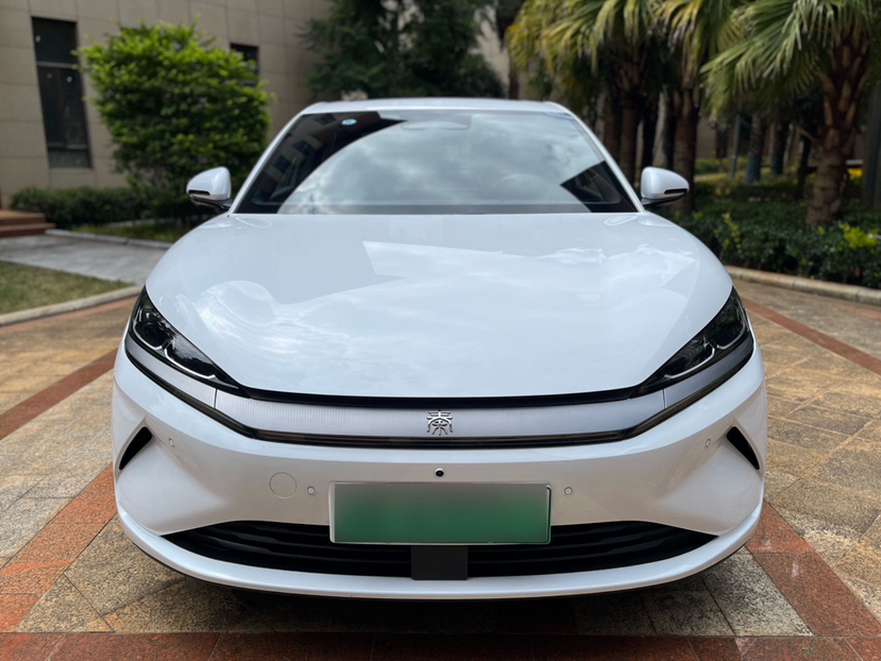 Qin L 2025 EV 545KM photo 2