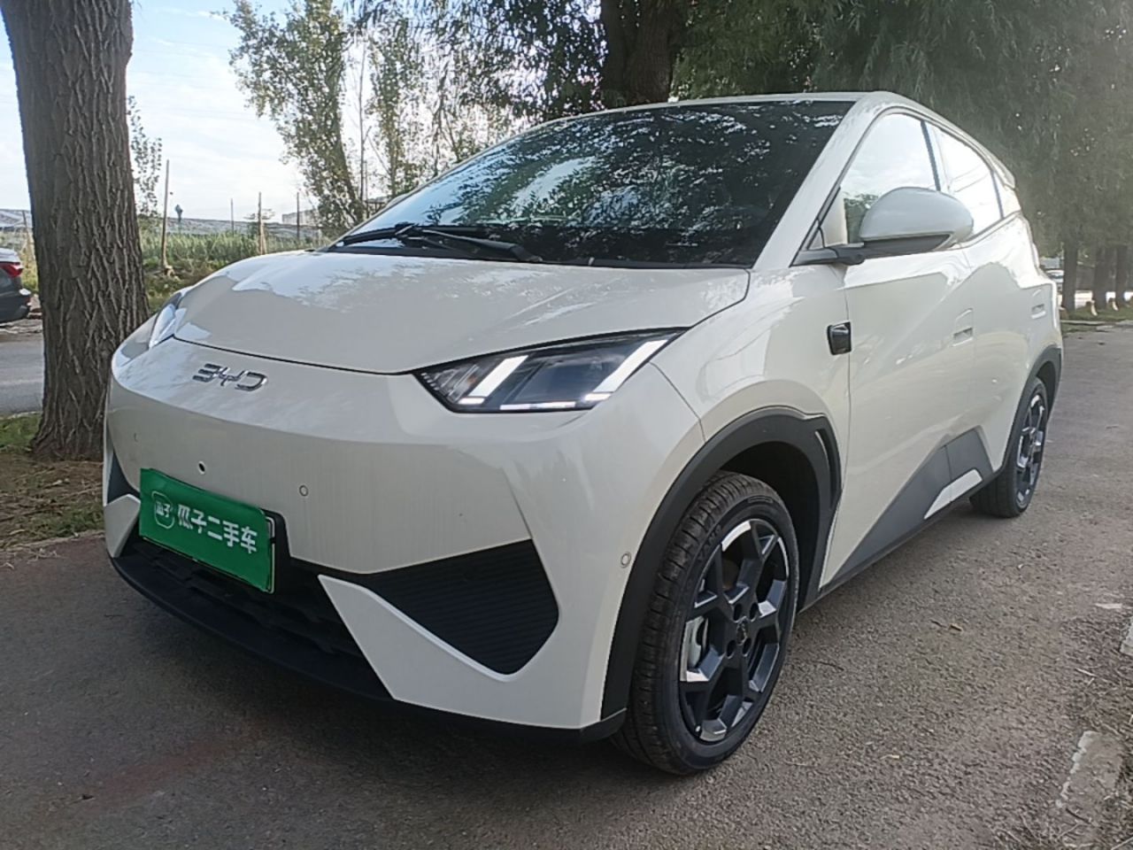 Seagull 2025 ADAS 305km
