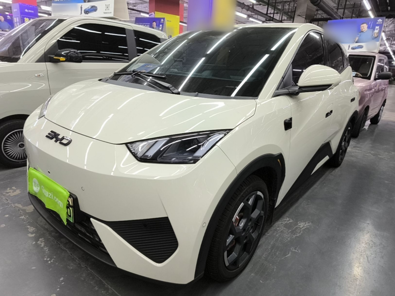 Seagull 2025 ADAS 305km