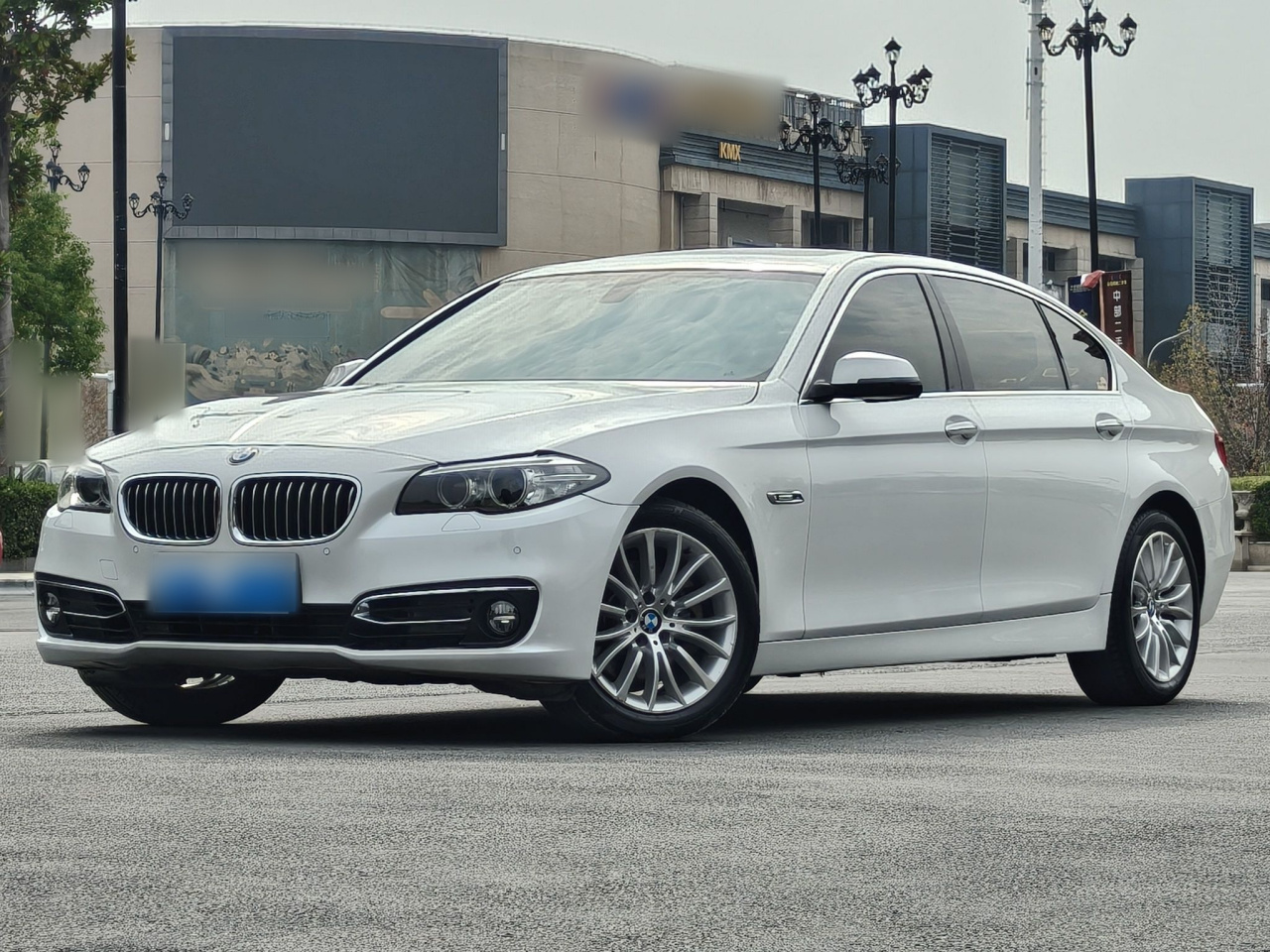 5 Series 2014 525Li Luxury Design Package