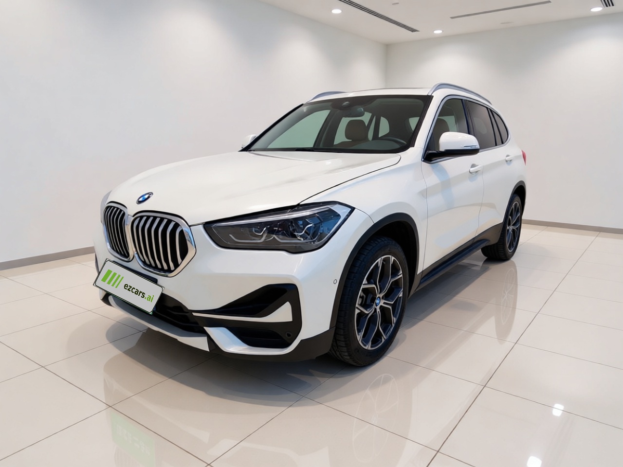 X1 2020 sDrive20Li Exclusive