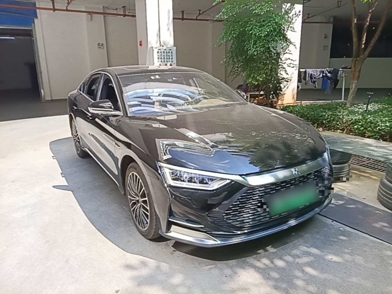 Han 2020 DM AWD Performance Luxury photo 3