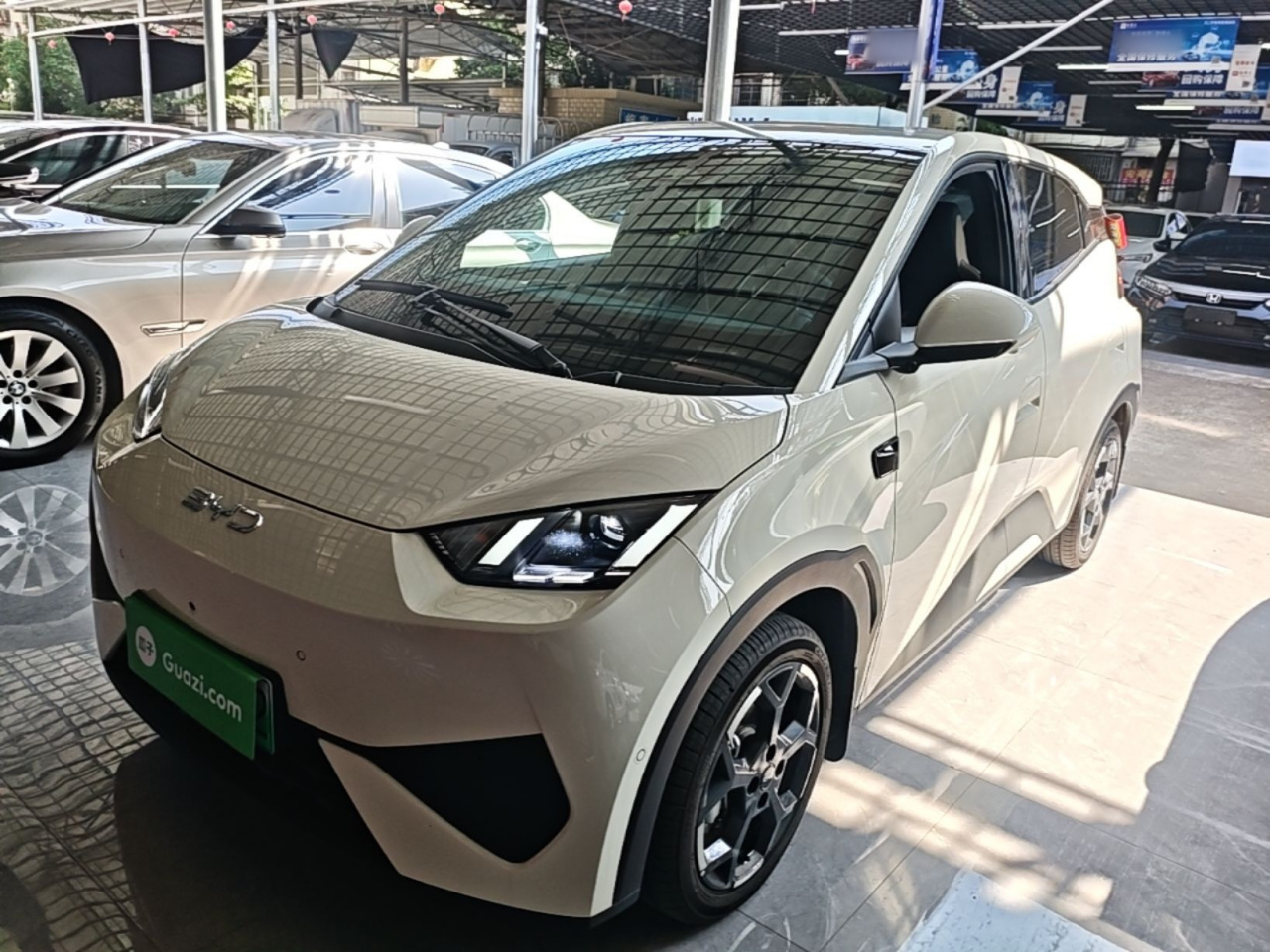 Seagull 2025 ADAS 305km