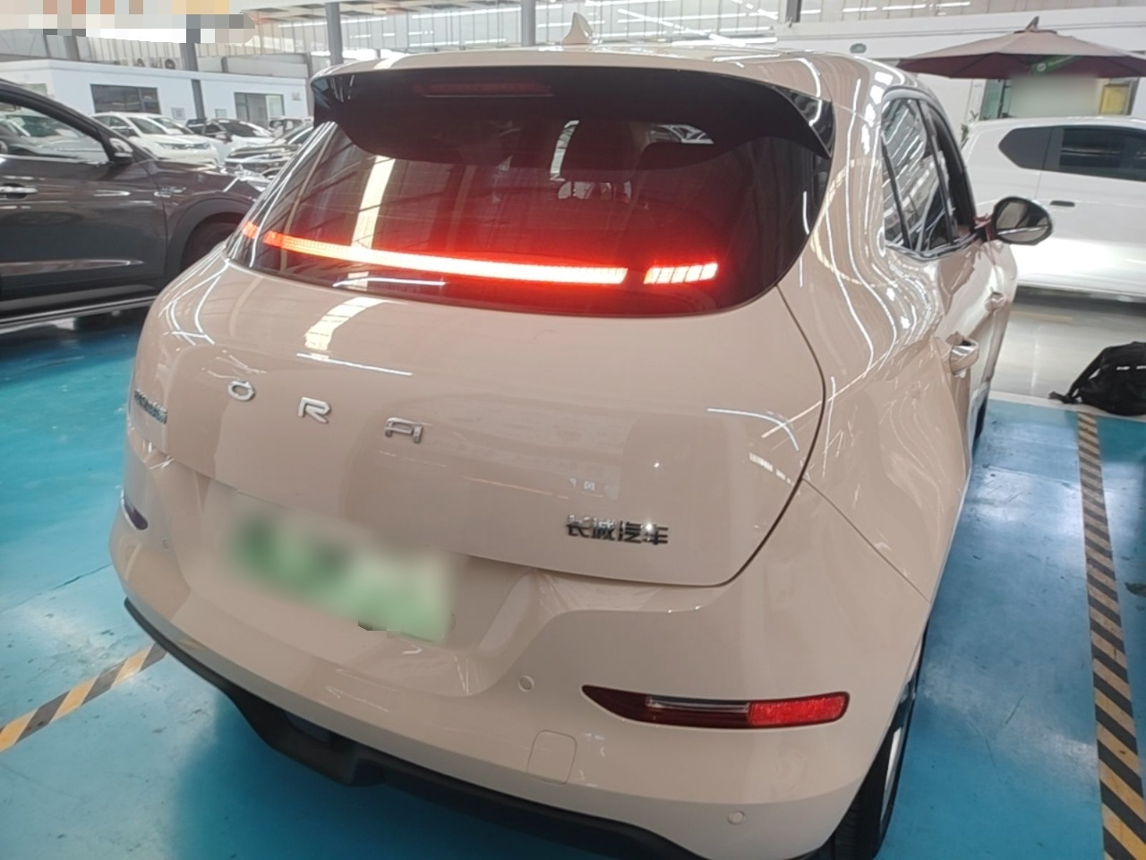 Good Cat 2021 400km Standard Range LFP photo 5
