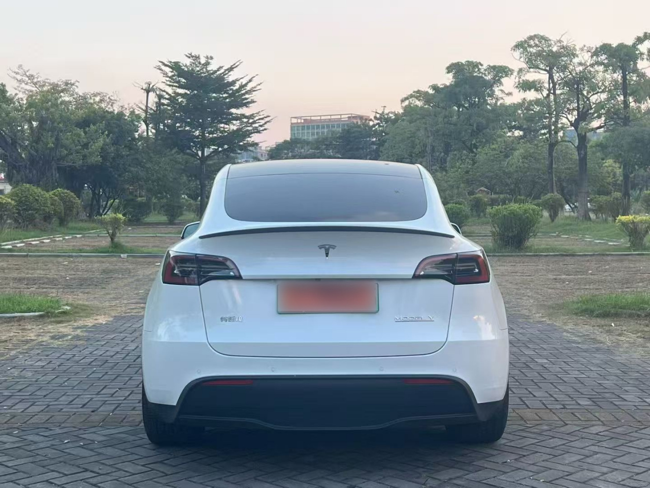 Model Y 2022 Performance AWD photo 5