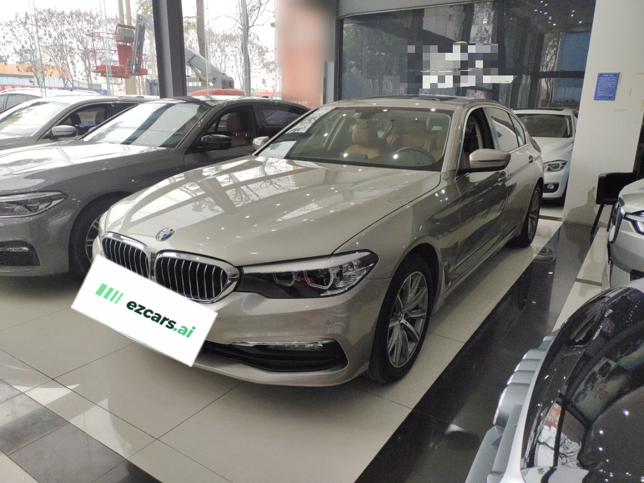 5 Series 2018 528Li Special