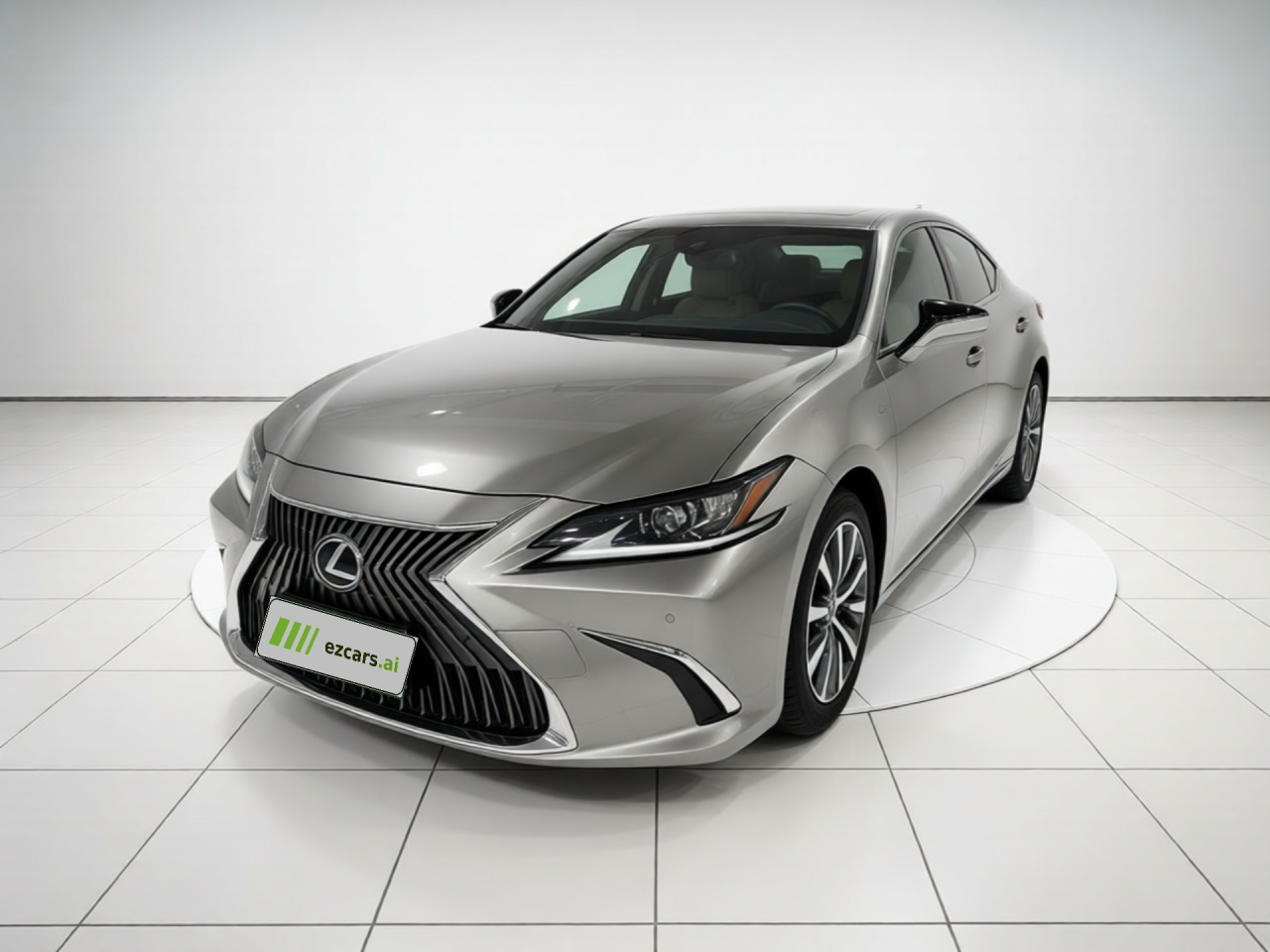 ES 2018 300h Excellence China VI