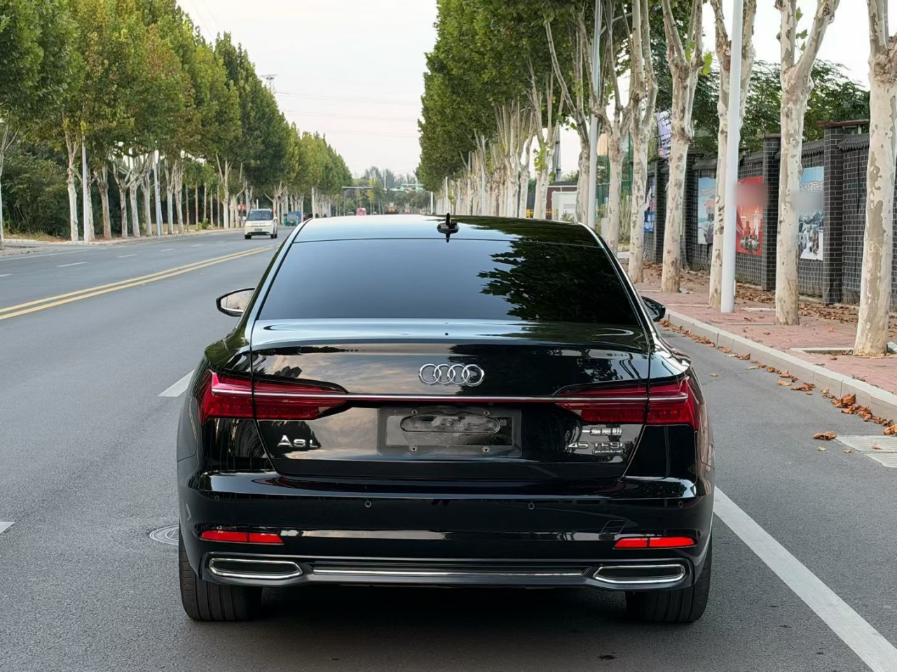 A6L 2021 45 TFSI quattro photo 5