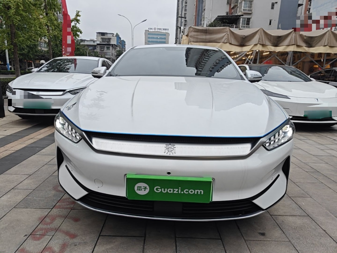 Qin PLUS 2024 Honor EV 510KM photo 2