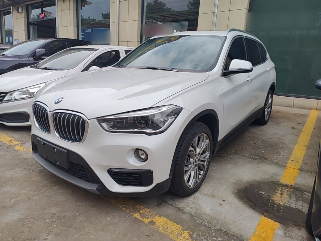 X1 2019 sDrive20Li Leading