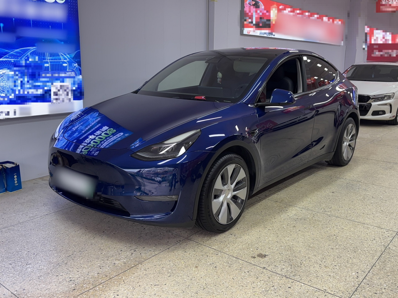 Model Y 2021 Standard Range RWD