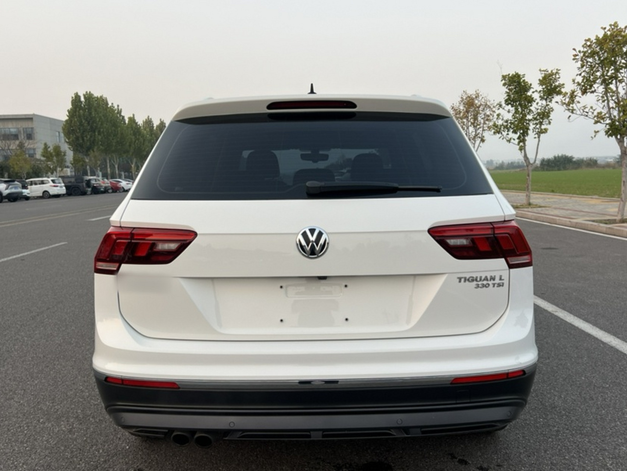 Tiguan L 2019 330TSI AT RWD Luxury China V photo 4