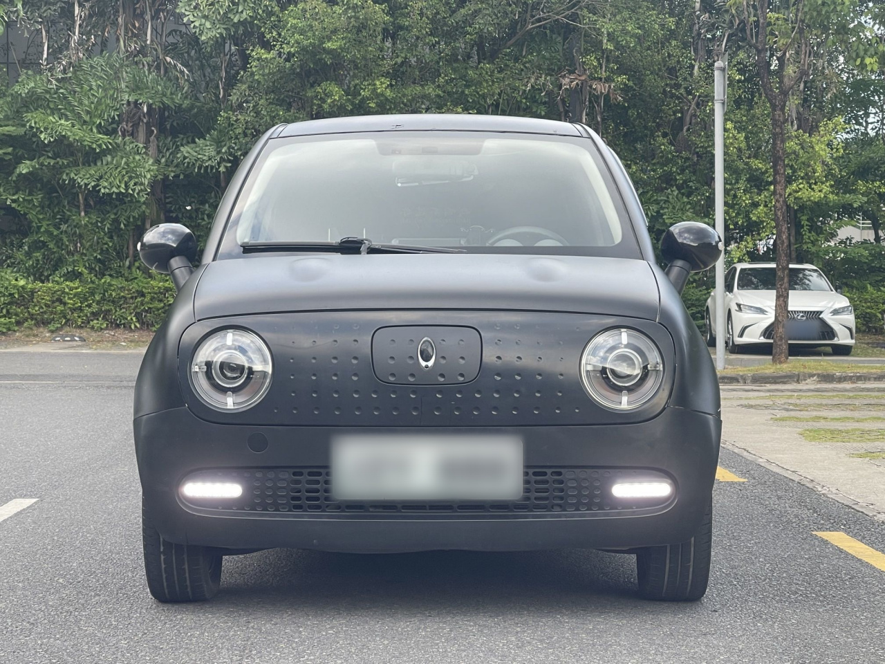 2019 351km photo 4