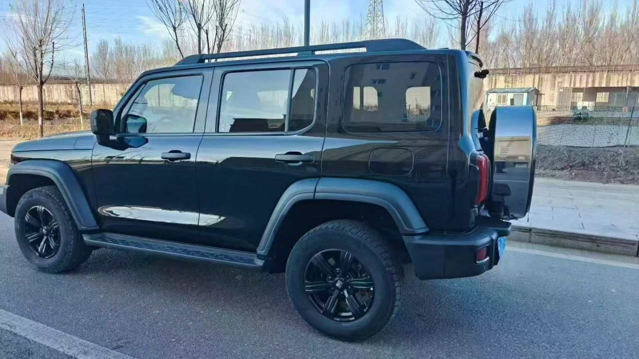 300 2021 Off-road 2.0T Conqueror photo 4