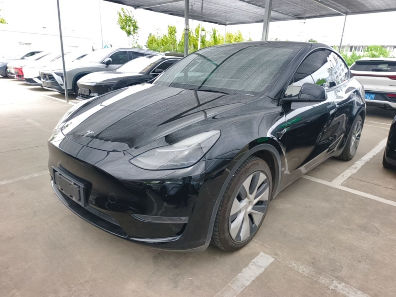 Model Y 2021 Standard Range RWD