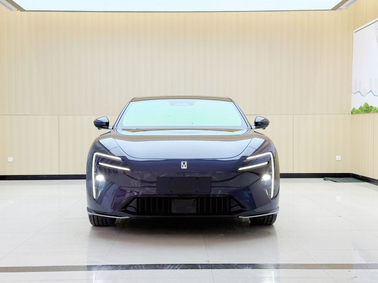 06 2025 Pro EV photo 2