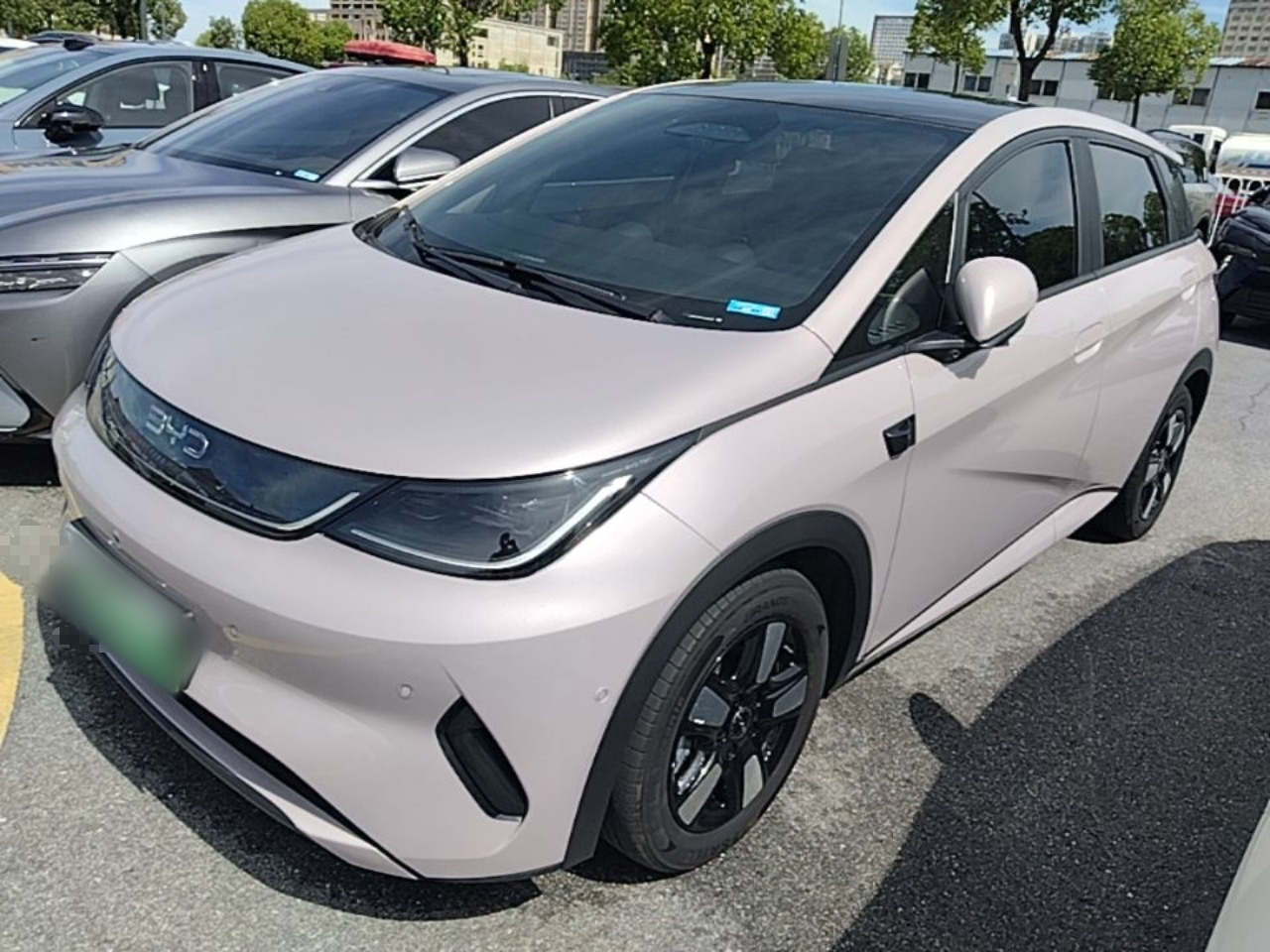 Dolphin 2025 ADAS 410km Fashion