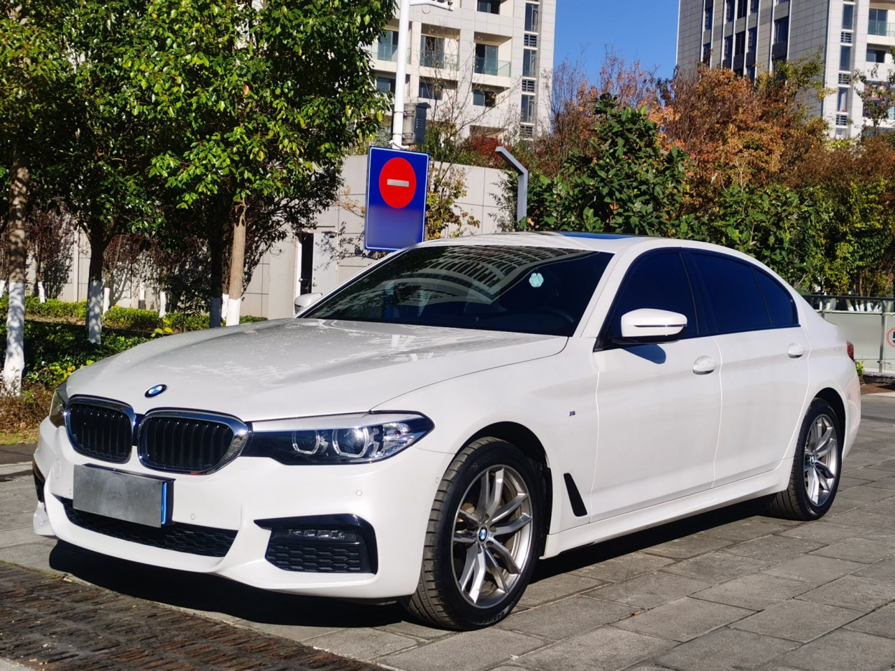 5 Series 2019 525Li M Sport Package photo 2