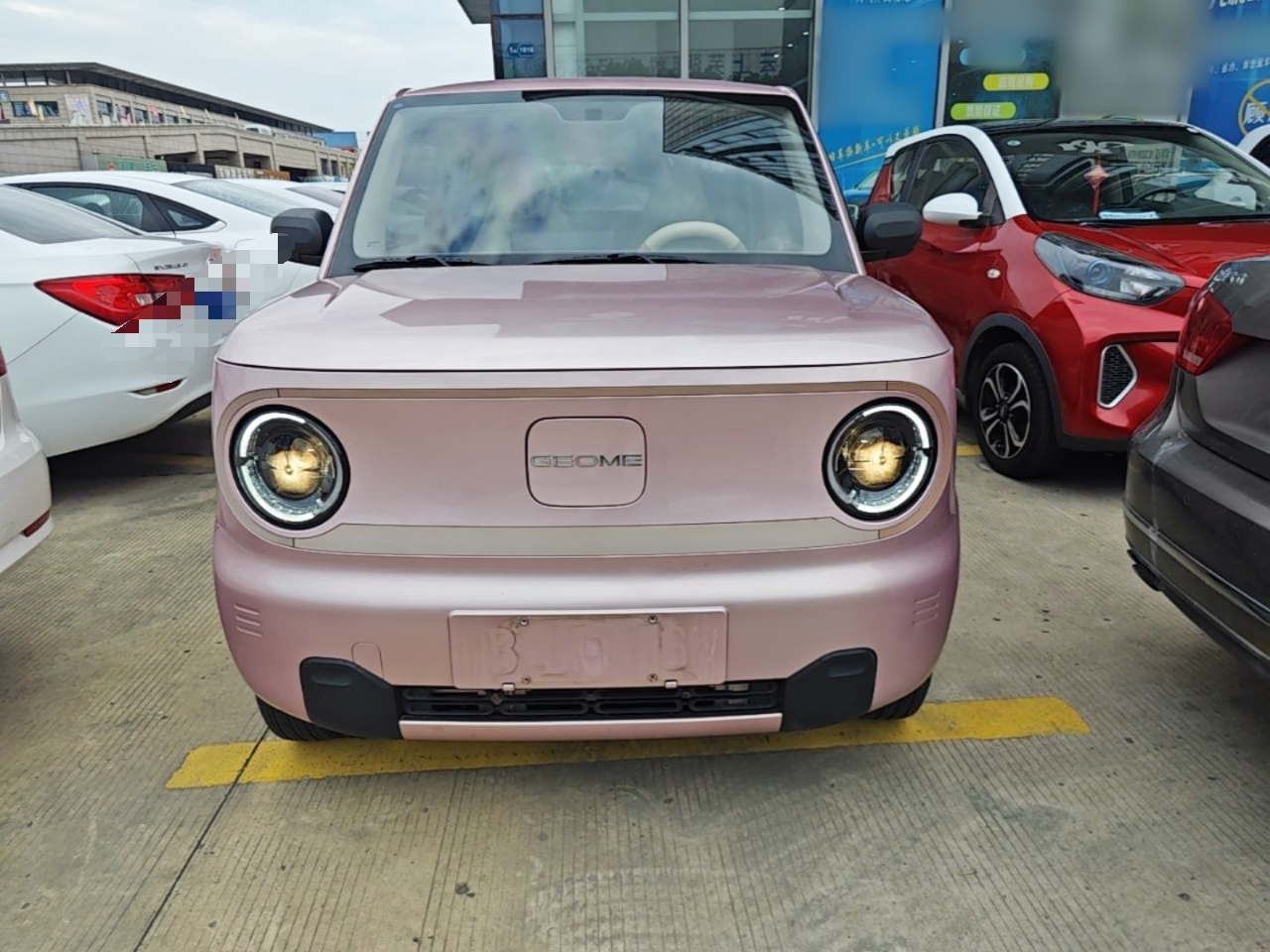 2023 Panda mini 200km Endurance Bear photo 2