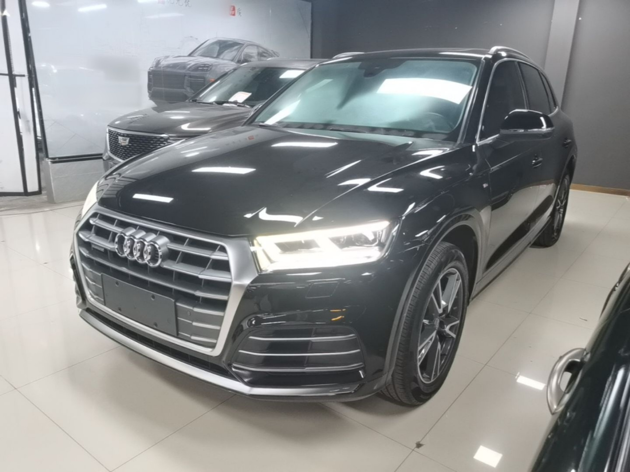 Q5L 2020 40 TFSI Fashion