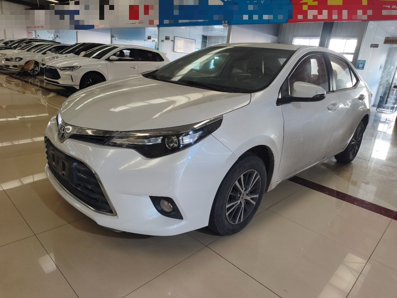 Levin 2016 1.6G MT Elite