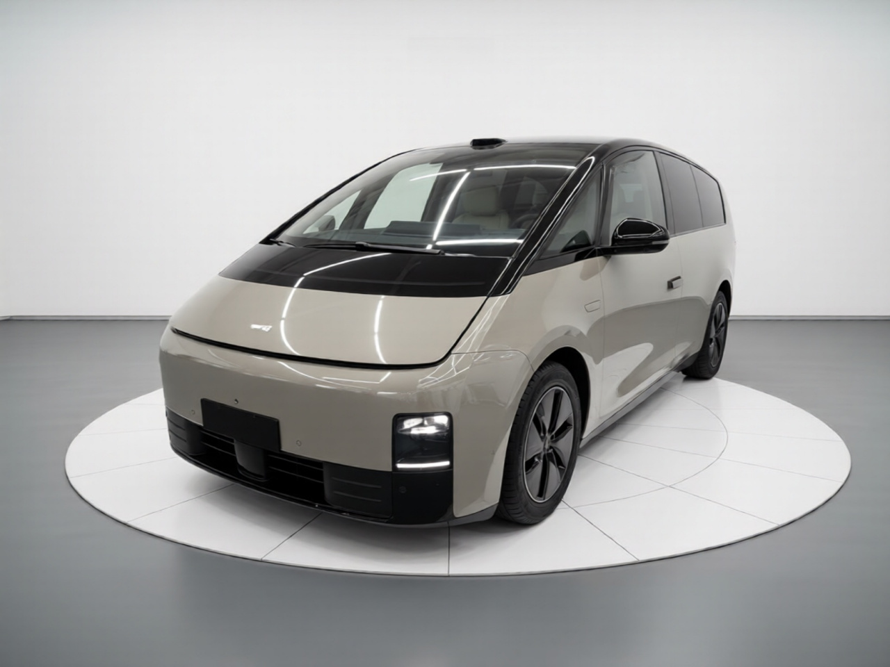 Li MEGA 2025 Home Family Special