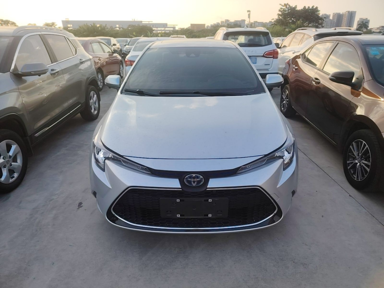 Levin 2021 Hybrid 1.8H E-CVT Luxury photo 2