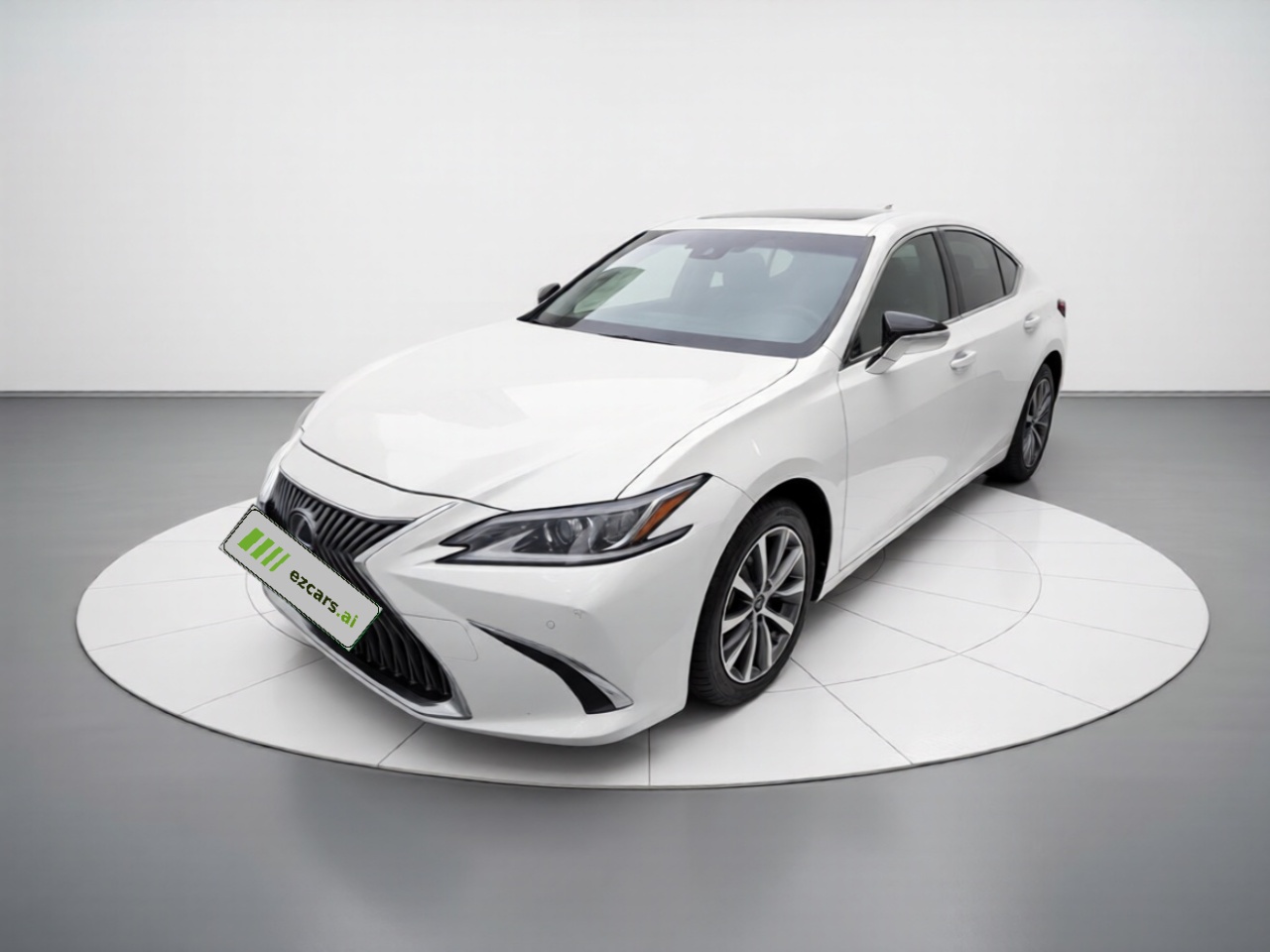ES 2018 300h Excellence China VI