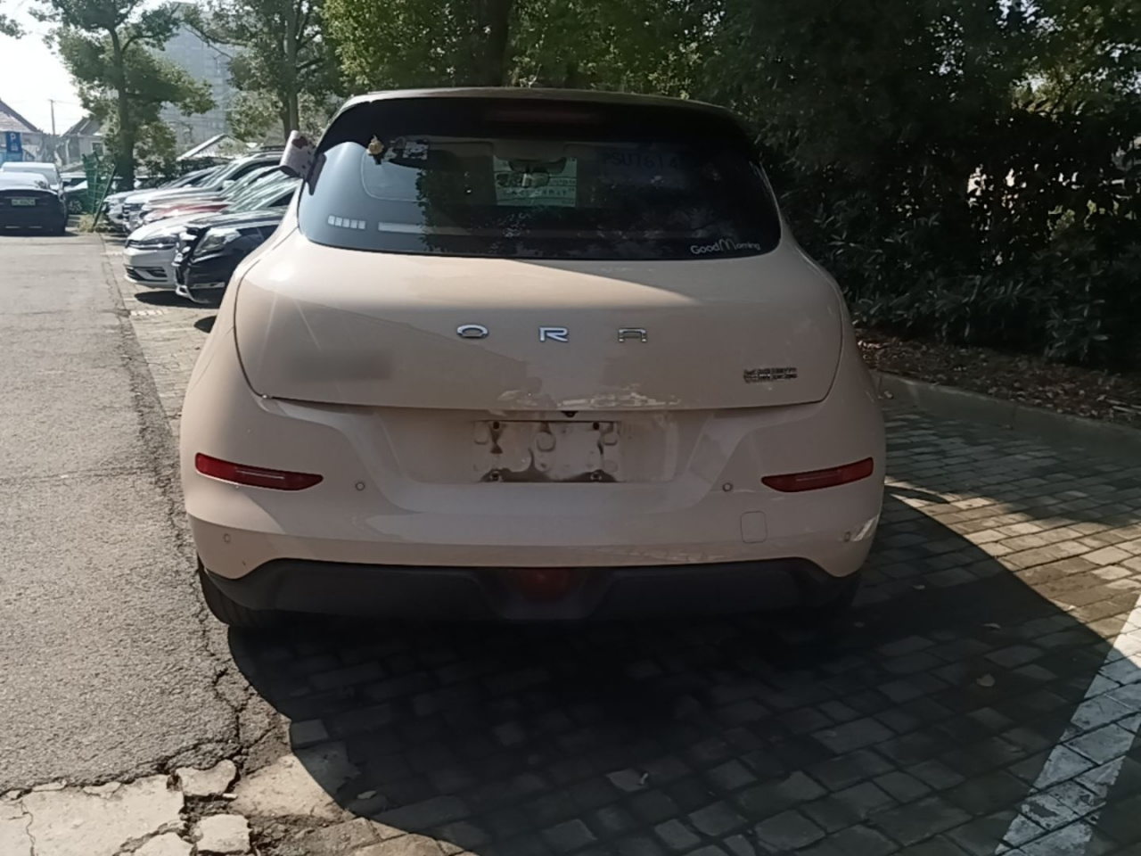Good Cat 2022 400km Standard Range Premium LFP photo 5