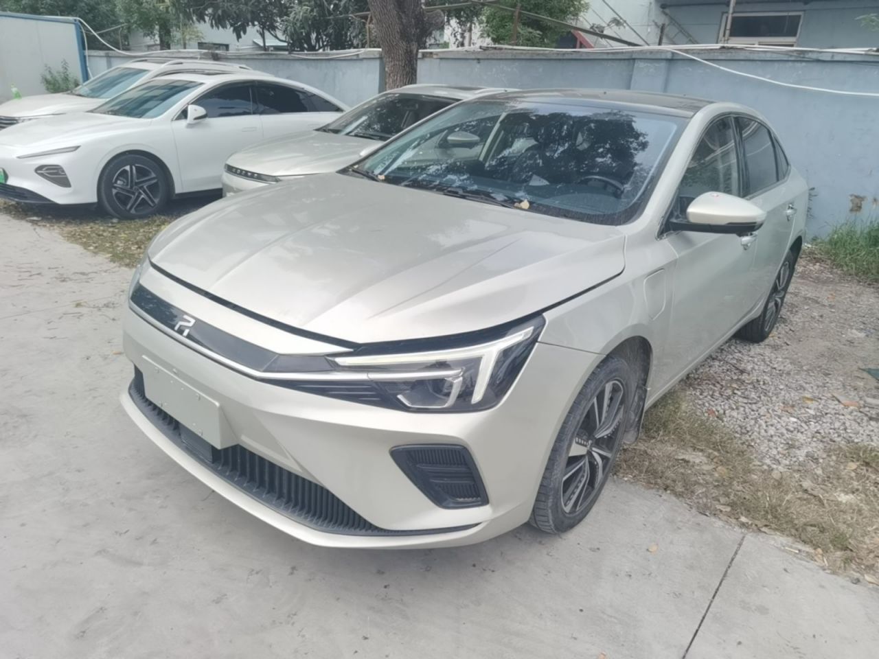 Rising Auto Rising Auto ER6 2021 620km Smart