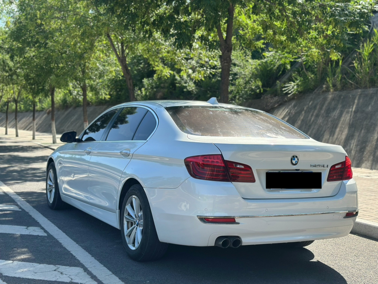 5 Series 2014 520Li photo 4