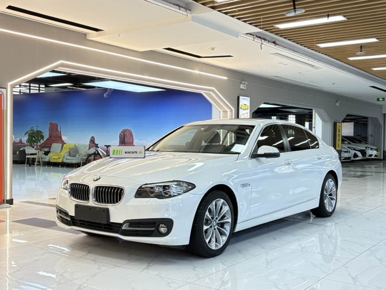 5 Series 2017 528Li Leading