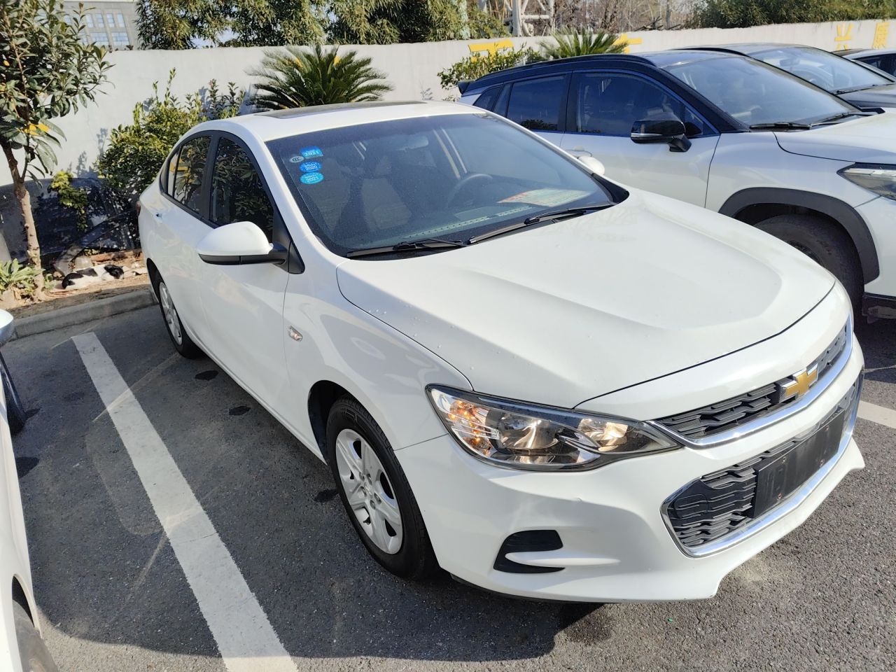 Cavalier 2019 320 AT photo 3