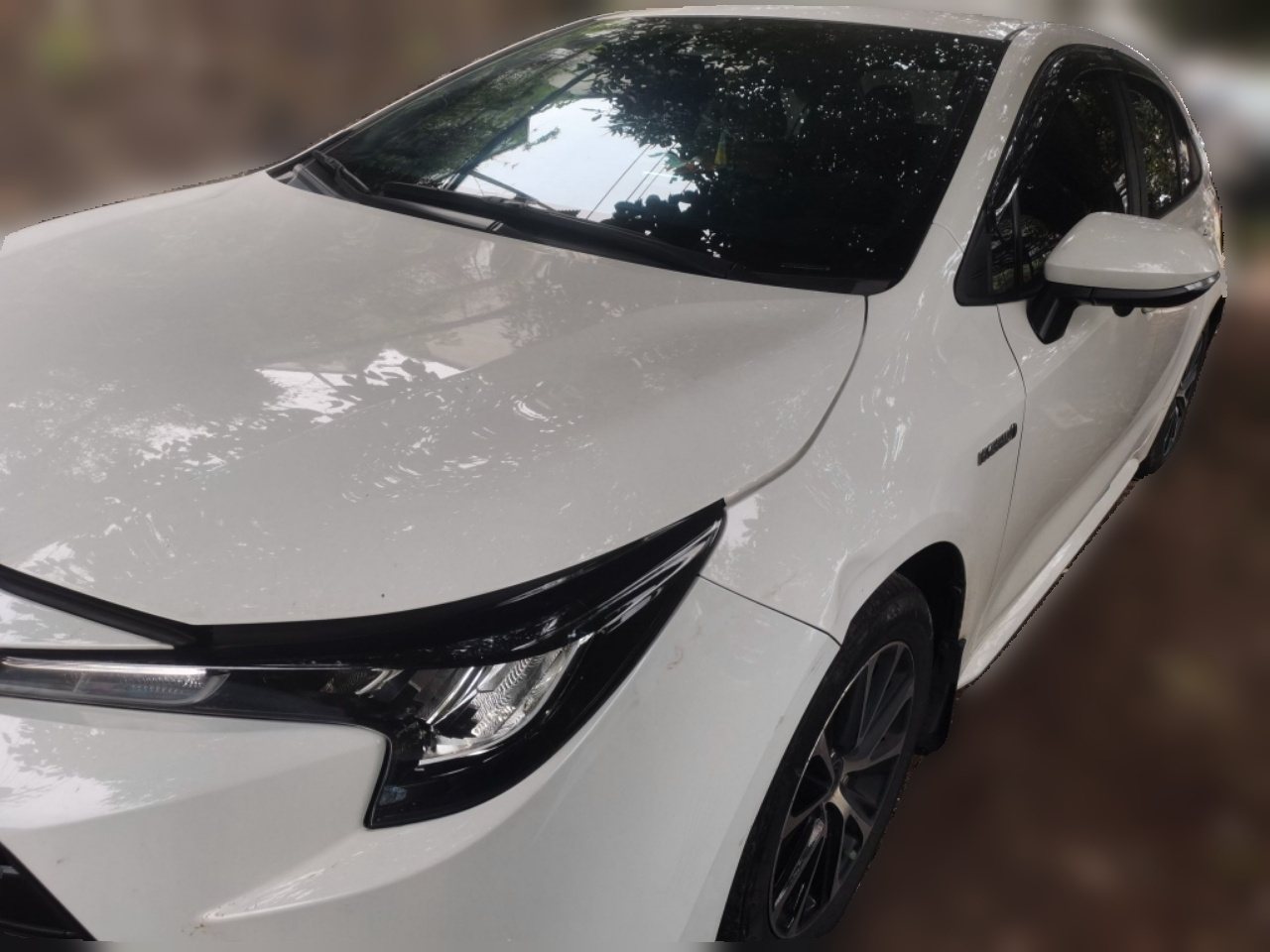 Levin 2024 Smart Hybrid 1.8L Leading