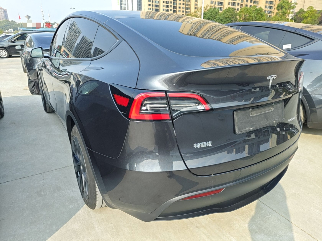 Model Y 2024 RWD photo 4
