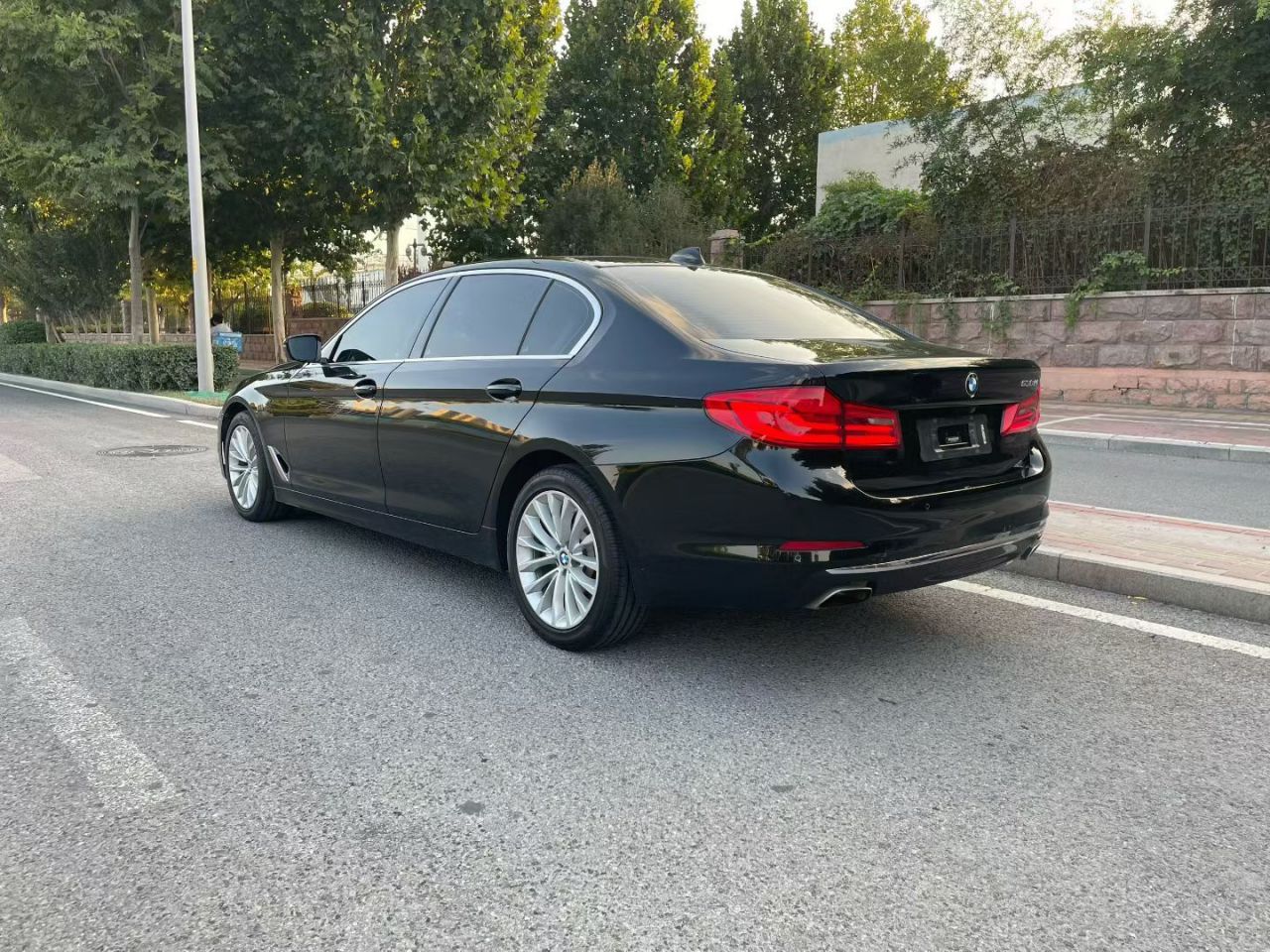 5 Series 2020 530Li Leading Luxury photo 4