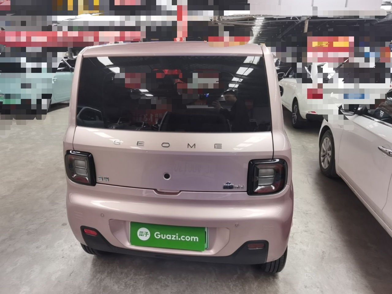 2023 Panda mini 200km Endurance Bear photo 5