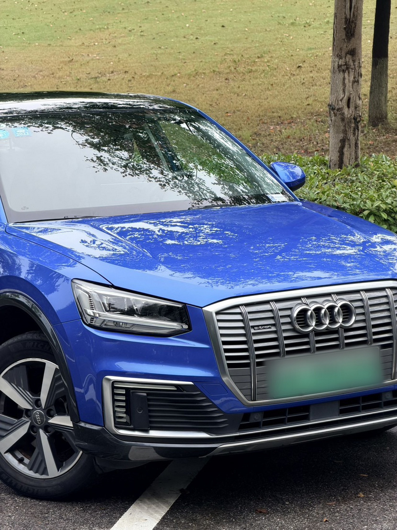 Q2L e-tron 2019 Q2L e-tron EV photo 4