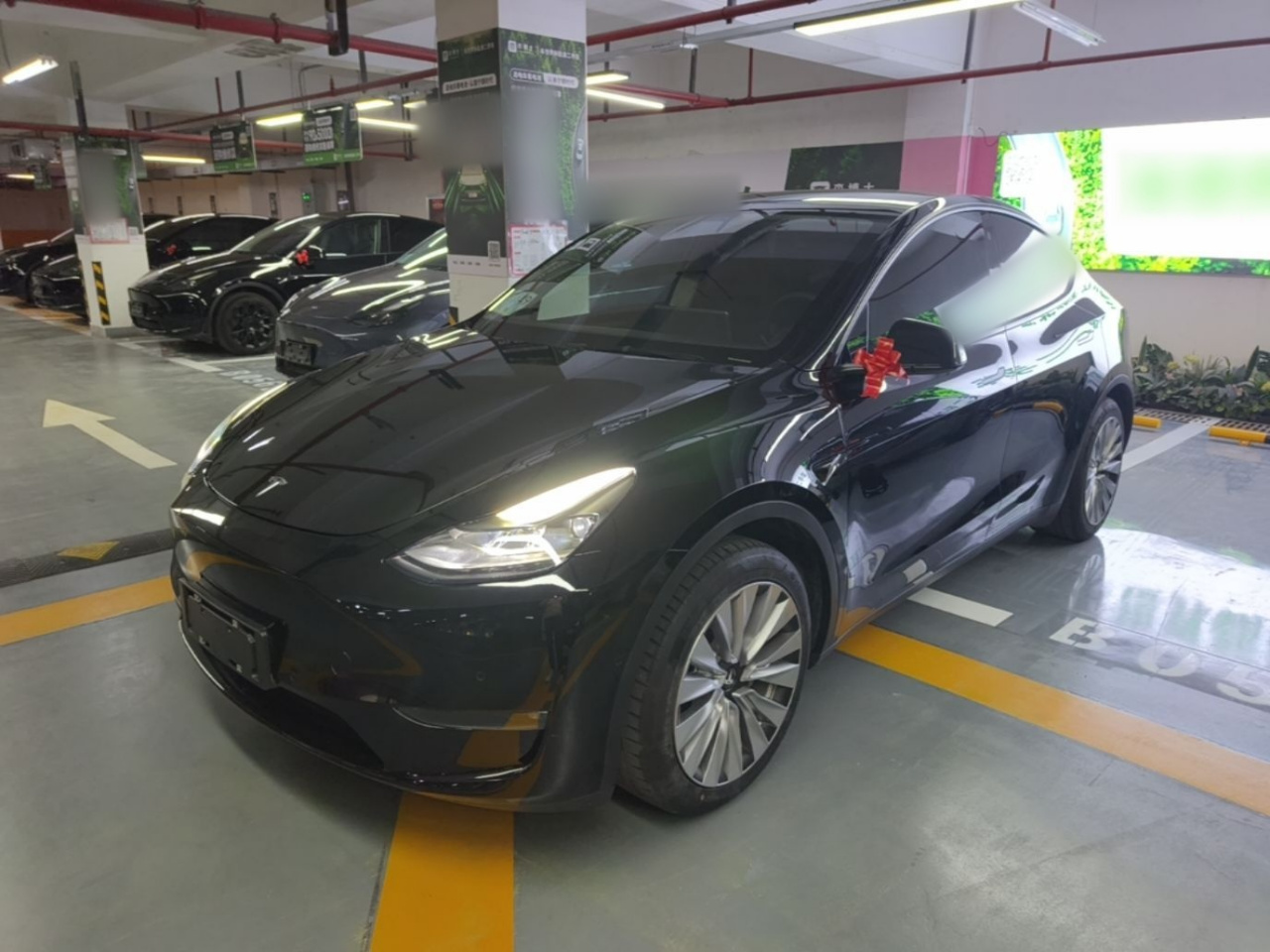 Model Y 2021 Standard Range RWD