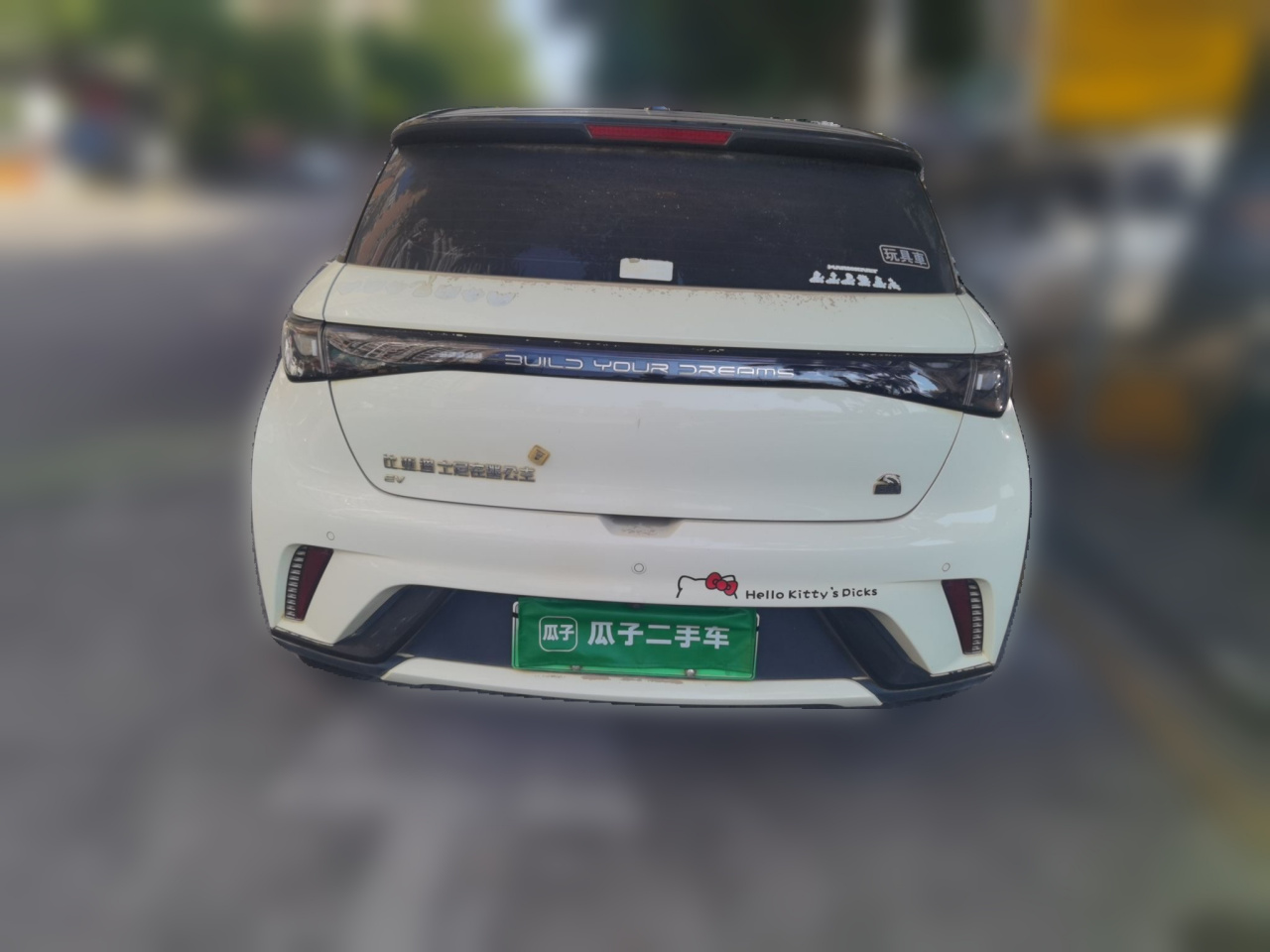 Dolphin 2021 405km Fashion photo 5